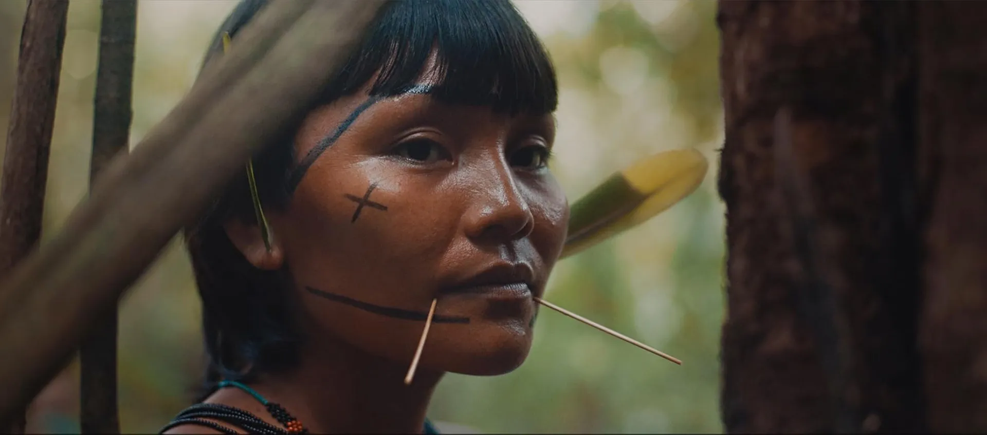 A ÚLTIMA FLORESTACAPA