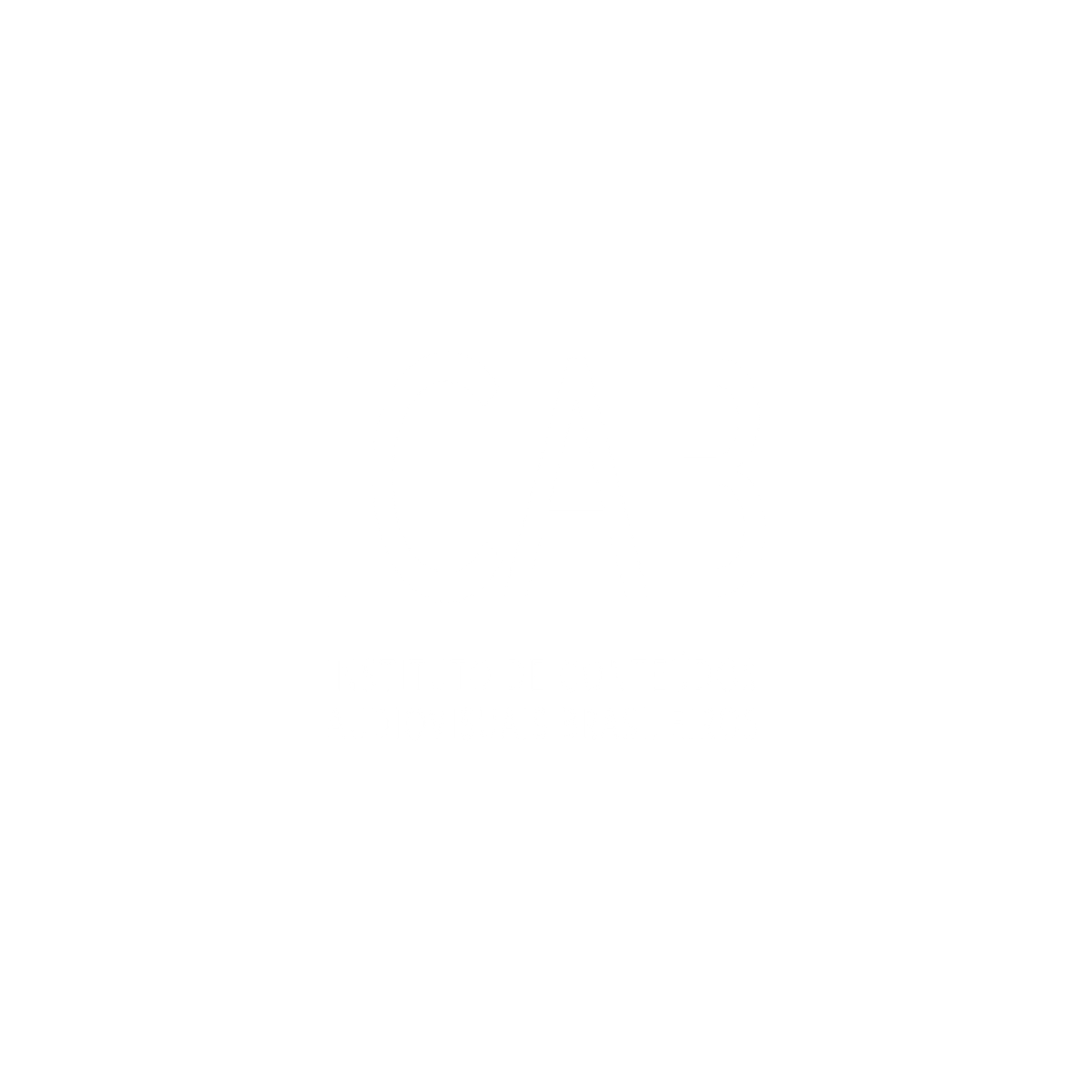 parceiros institucionais