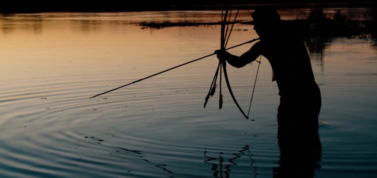 Amazônia: ponto de não retorno