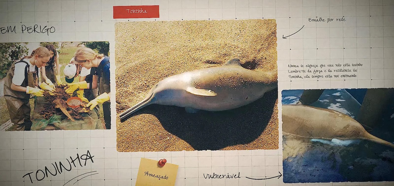 Olhe, depois procure