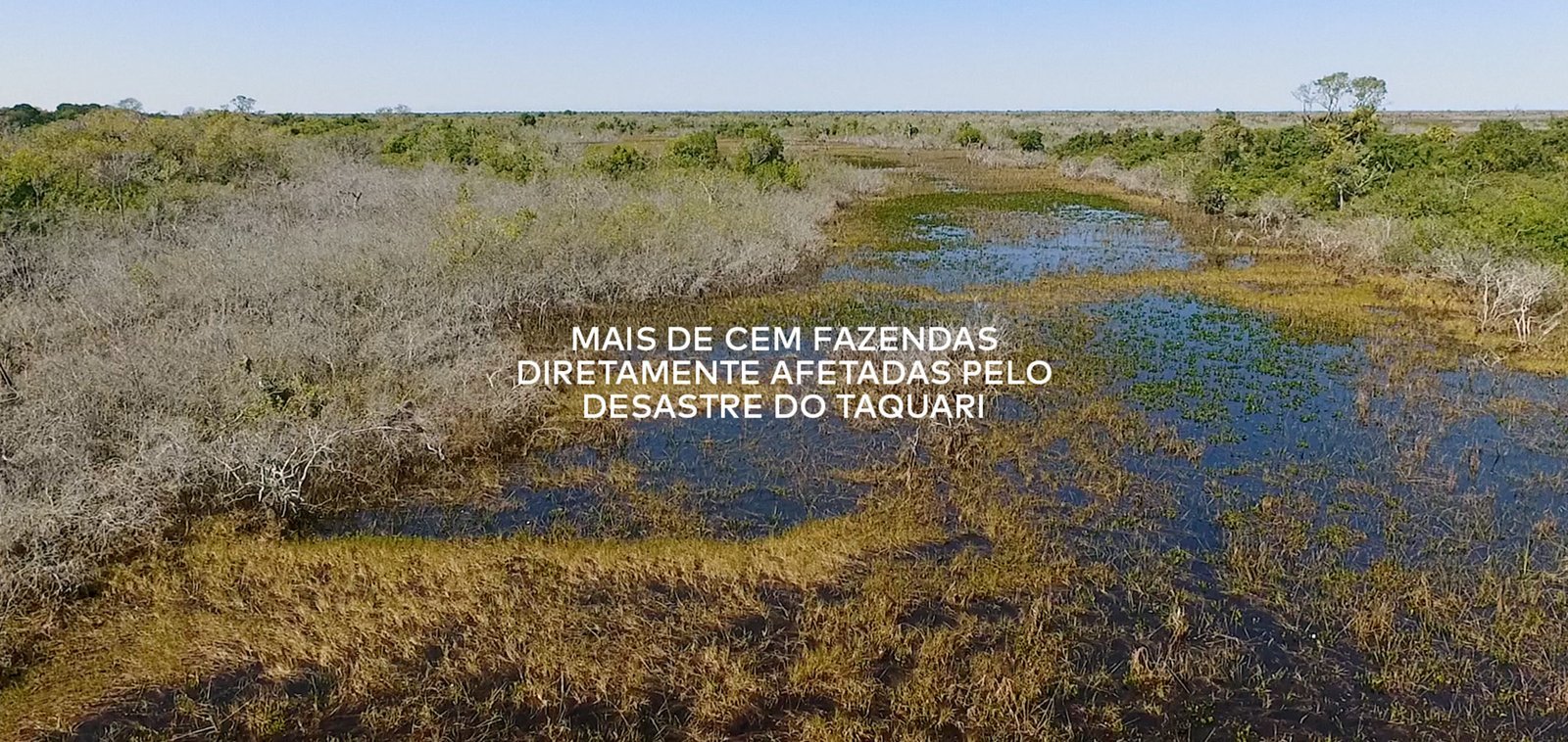 Ruivaldo, o Homem que Salvou a Terra