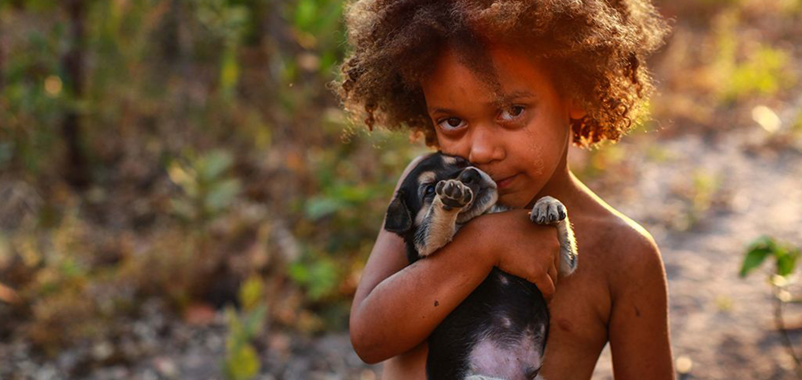 Ser Tão Velho Cerrado