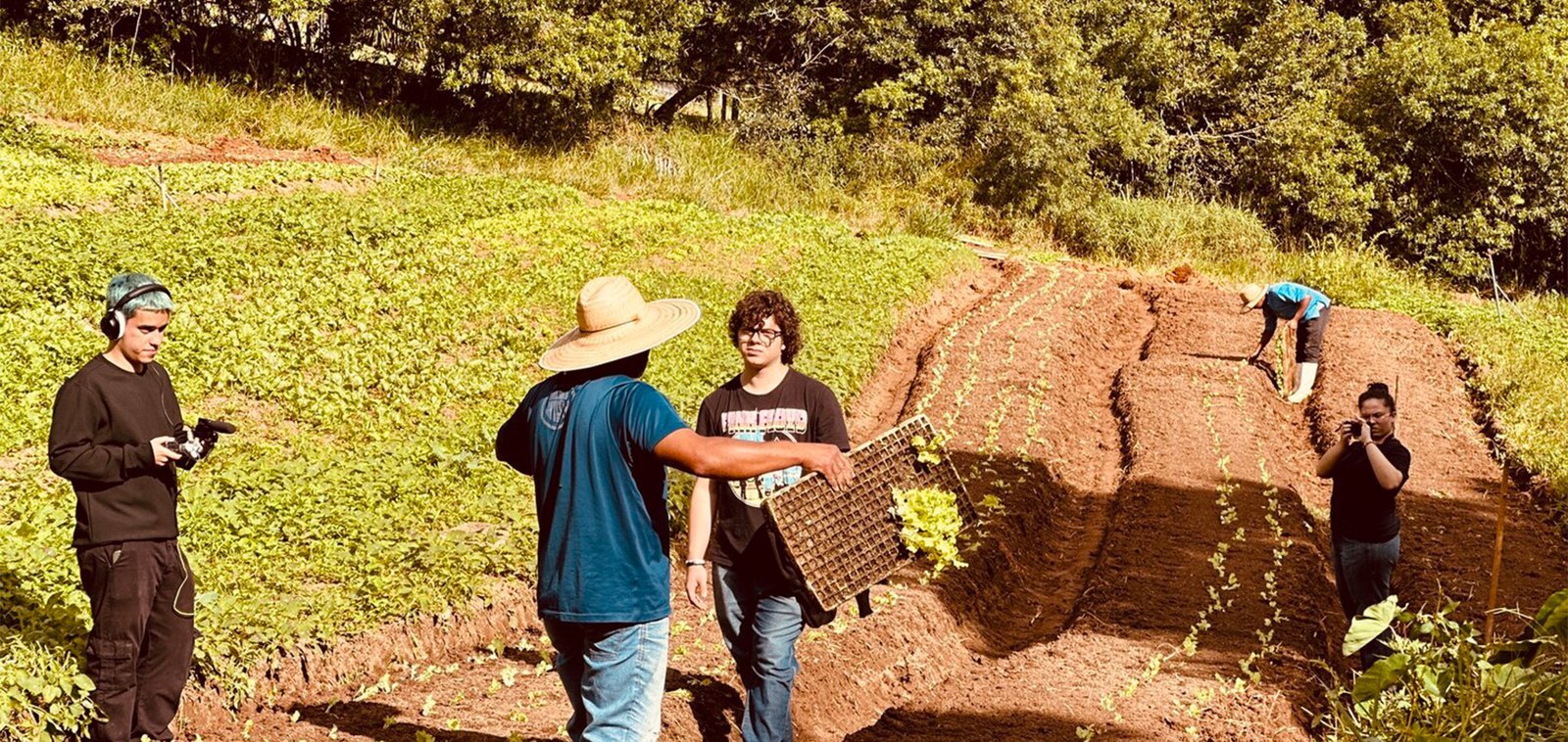 Terças, Sabados, Domingo