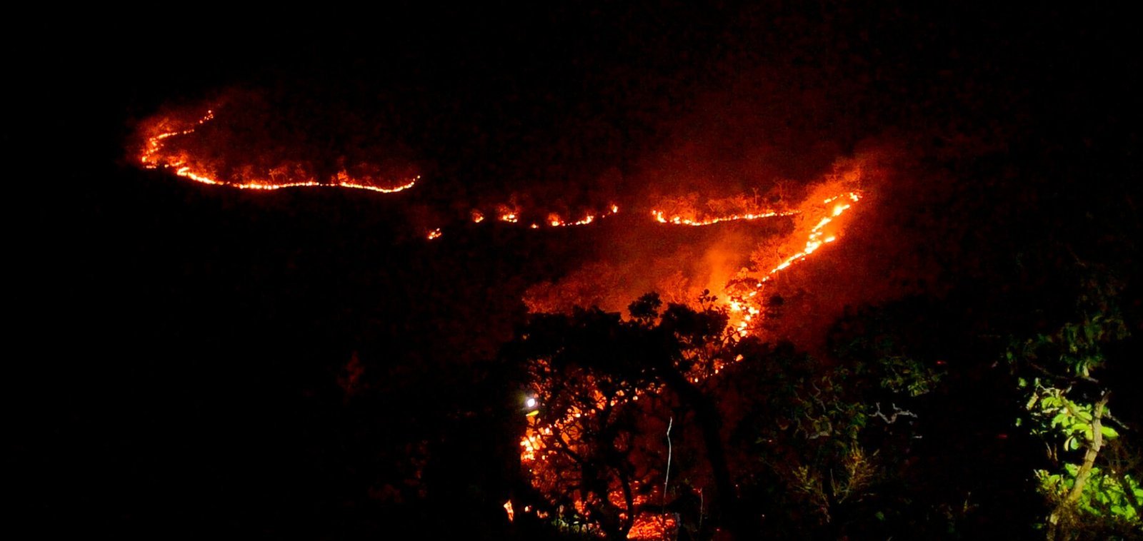 Cabeça de Fogo