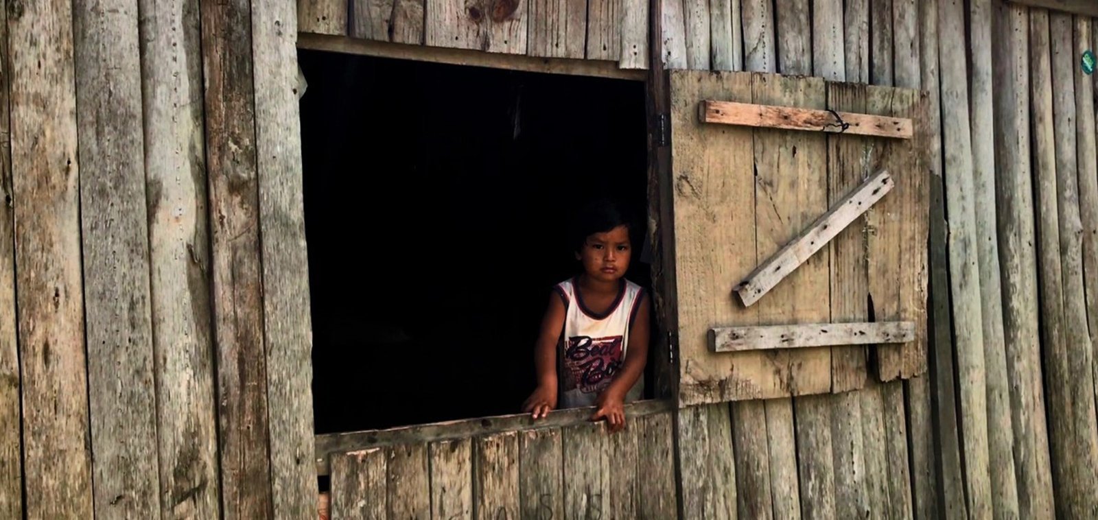 Laklãnõ/Xokleng: os órfãos do Vale