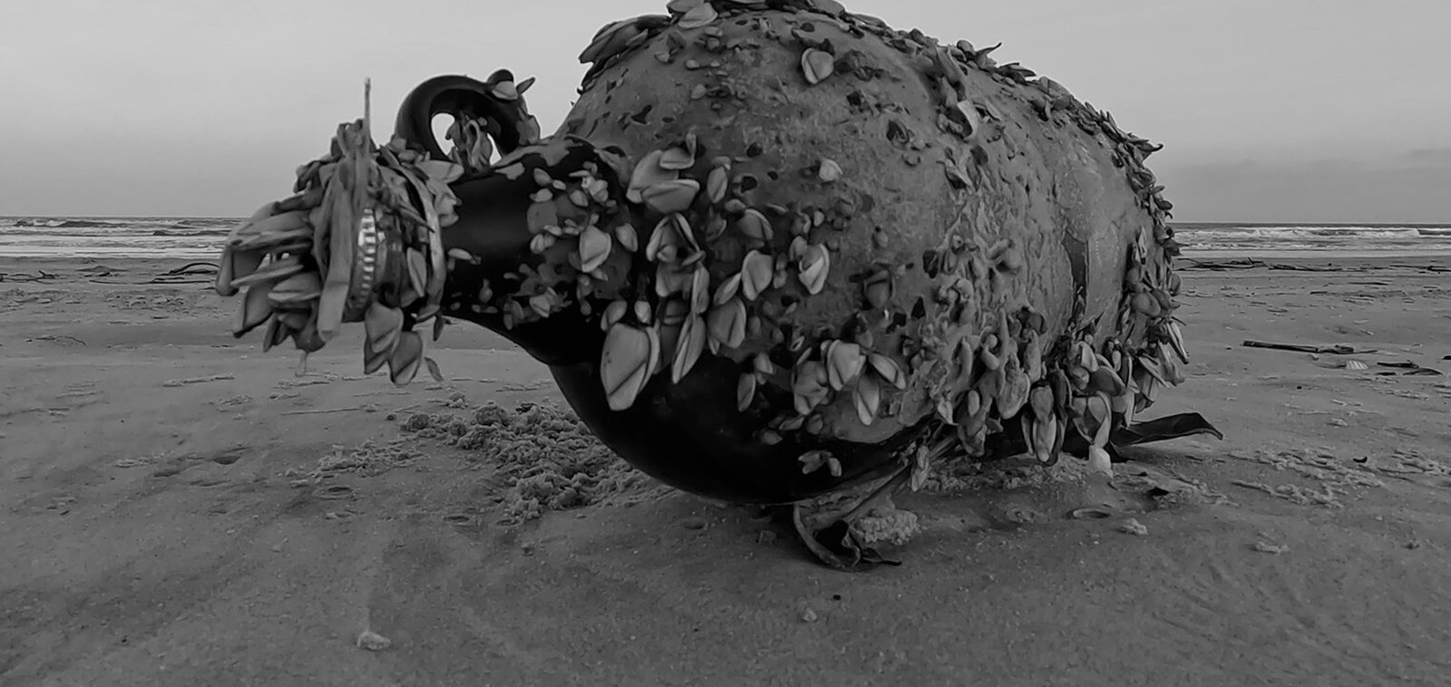 Plano Inconsequência